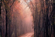 CBA：无缘连胜 上海久事男篮97-99浙江稠州金租男篮.